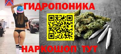 прущие грибы Бузулук