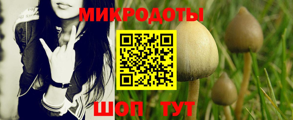 Псилоцибиновые грибы Psilocybe  Галлюциногенные грибы GOLDEN TEACHER  Вход с VPN  Красноармейск 