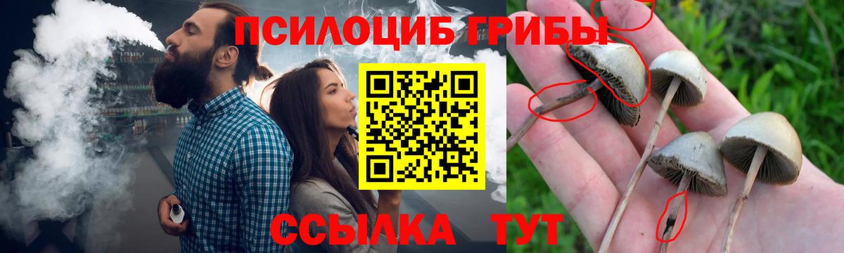 Псилоцибиновые грибы MAGIC MUSHROOMS Красноармейск